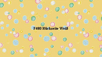 F480 Rckseite Wei