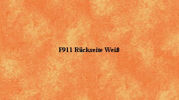 F911 Rckseite Wei