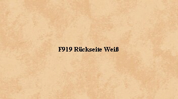 F919 Rckseite Wei