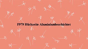 F979 Rckseite Aluminiumbeschichtet